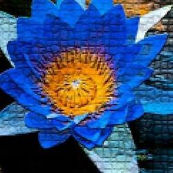 Mosaic Massage Therapy, Winnipeg, MB opening hours