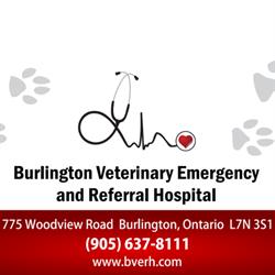 Burlington Veterinary Emergency and Referral Hospital, opening hours