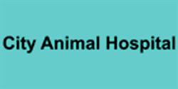 City Animal Hospital, Fredericton, NB opening hours