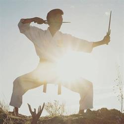 Taneda Karate Dojo, West Kelowna, BC opening hours