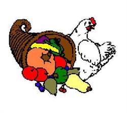 McSmith's Organic Farm, St. Thomas, ON opening hours