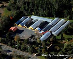 Lowland Gardens, Great Village, NS opening hours