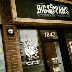Big Paws Inc, Toronto, ON opening hours