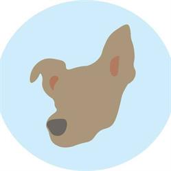Washago Veterinary Services, opening hours