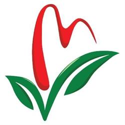 Maple Acupuncture & Wellness, opening hours