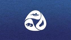 Elements Carpet Cleaning and restoration, Windsor, ON opening hours