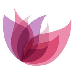 Beauty Pro Salon & Spa, Brampton, ON opening hours