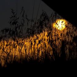 Arising Phoenix Counselling, Lethbridge, AB opening hours