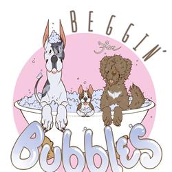 Beggin For Bubbles, Mission, BC opening hours