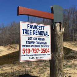 Fawcett Tree Removal Ltd, Wiarton, ON opening hours