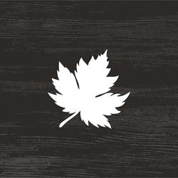 Xpression Hardwood Floors, Nepean, ON opening hours