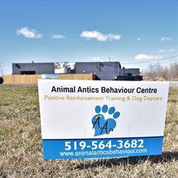 Animal Antics Behaviour Centre, Windsor, ON opening hours