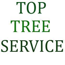 Top Tree Service, Victoria, BC opening hours
