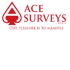 Ace Surveys Ltd, Strathmore, AB opening hours