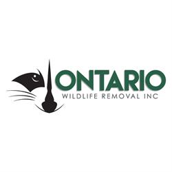 Ontario Wildlife Removal Inc. in Brantford, ON (Brant County) - Opening Hours