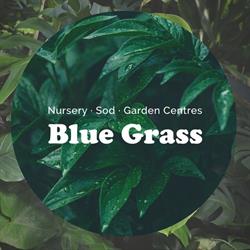 Blue Grass Nursery, Sod & Garden Centre - Red Deer, Red Deer County, AB opening hours