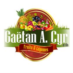 Gaetan A. Cyr, Gatineau, QC opening hours