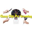 Classy Clips Pet Grooming, Fort St. John, BC opening hours