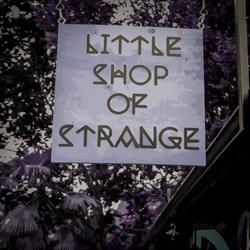 Little Shop of Strange, Victoria, BC opening hours