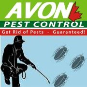 Avon Pest Control Surrey, opening hours