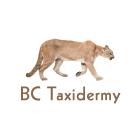 BC Taxidermy, Keremeos, BC opening hours