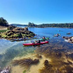Hello Nature Adventure Tours, Ucluelet, BC opening hours