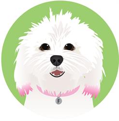 Fluffy & Spike's Small Dog Daycare Inc, Calgary, AB opening hours
