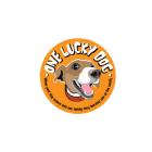 One Lucky Dog, Toronto, ON opening hours