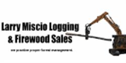 Larry Miscio Logging & Firewood Sales, Haliburton, ON opening hours