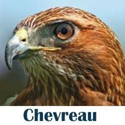 Chevreau Consulting Ltd, Waterloo, ON opening hours