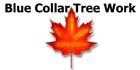 Blue Collar Tree Work, Victoria, BC opening hours
