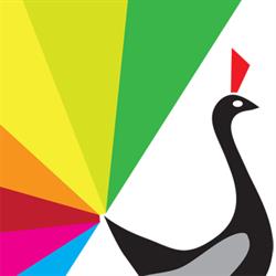 CYNOSURE design & print, Pickering, ON opening hours