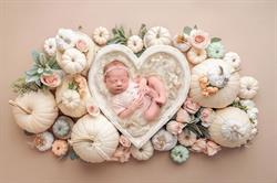 Amanda Dams Photography in Calgary, AB (Beltline) - Opening Hours