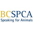 BC SPCA Thrift Store, New Westminster, BC opening hours