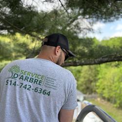 Service d'Arbre Jean-Nicolas Martel, Saint-Hubert, QC opening hours