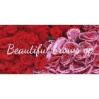 Beautiful Brows GP, Grande Prairie, AB opening hours