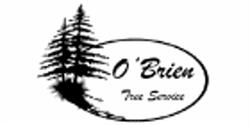 O'Brien tree services, Douro, ON opening hours