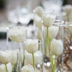 Blue Waterfall Events, Oakville, ON opening hours