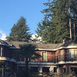 Kozy Homes, Delta, BC opening hours