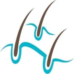 North West Veterinary Dermatology Services, Vancouver, BC opening hours