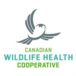 Canadian Wildlife Health Cooperative, Saskatoon, SK opening hours