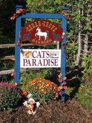 Cats Paradise Spa & Boarding Retreat, Almonte, ON opening hours