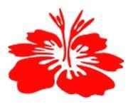 Bolton Naturopathic Clinic, opening hours