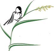 Hidden Habitat - Native Plants & Ecological Landscapes, Kilworthy, ON opening hours