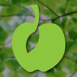 Green Apple Health Care, Edmonton, AB opening hours