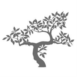 The Mindful Living Centre, Milton, ON opening hours