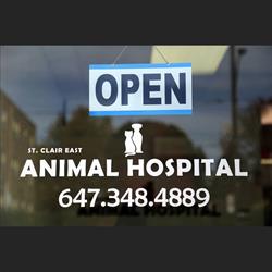 St Clair East Animal Hospital, Toronto, ON opening hours