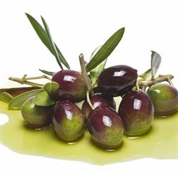 The Pristine Olive Tasting Bar, London, ON opening hours