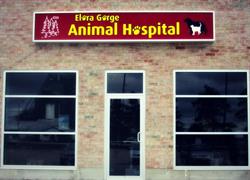 Elora Gorge Animal Hospital, opening hours