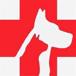 Grand Ave Pet Hospital, Chatham, ON opening hours